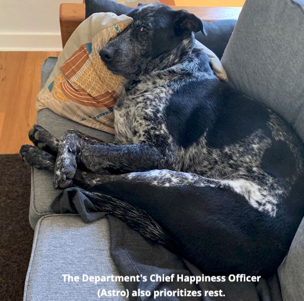 The Department's Chief Happiness Officer, Astro (our black and white dog), also prioritizes rest.
