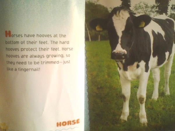 Picture of a cow with text next to it that describes horses.