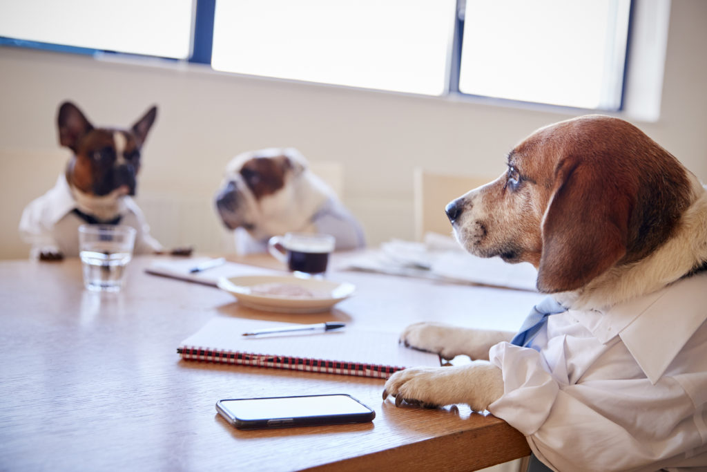 Three Dogs Dressed As Businessmen Having Meeting In Boardroom