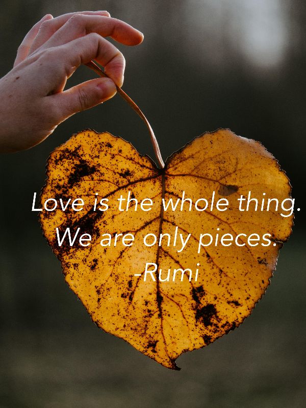 Quote by Rumi with a heart shaped leaf background "Love is the whole thing. We are only pieces."